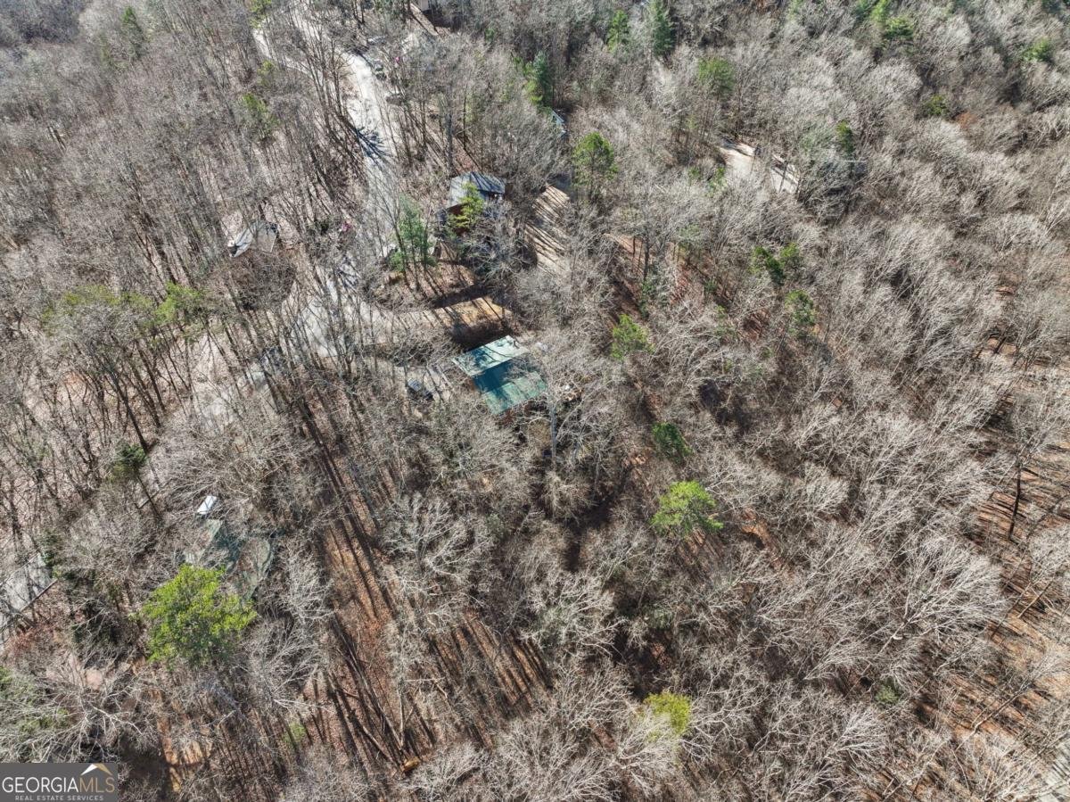 421 Cherokee Court Ellijay - Photo 39