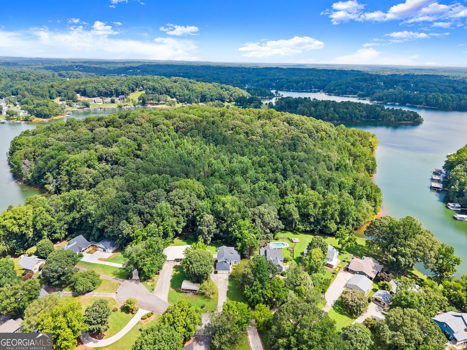 272 Indian Cove Drive Dawsonville - Photo 4