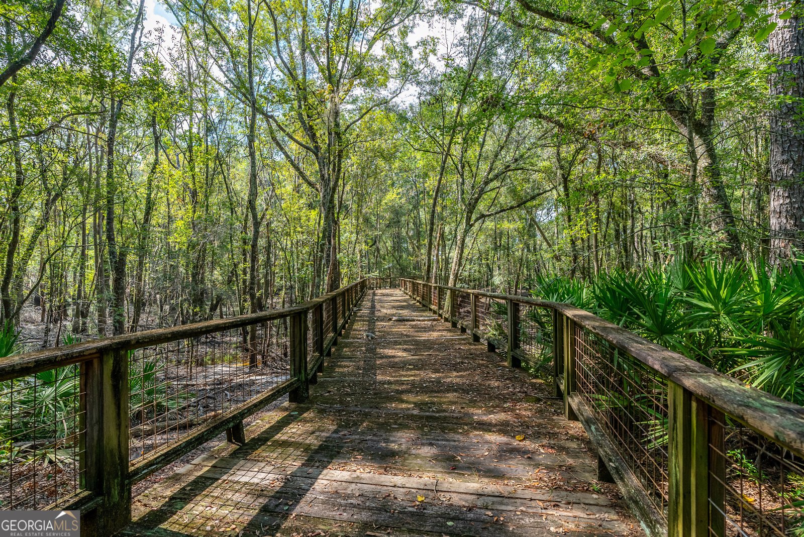 128 Satilla Bluffs Drive Blackshear - Photo 49