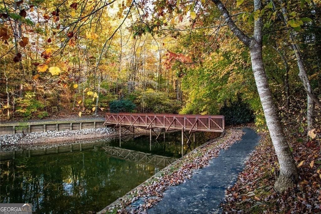 803 Night Fire Drive Dawsonville - Photo 78