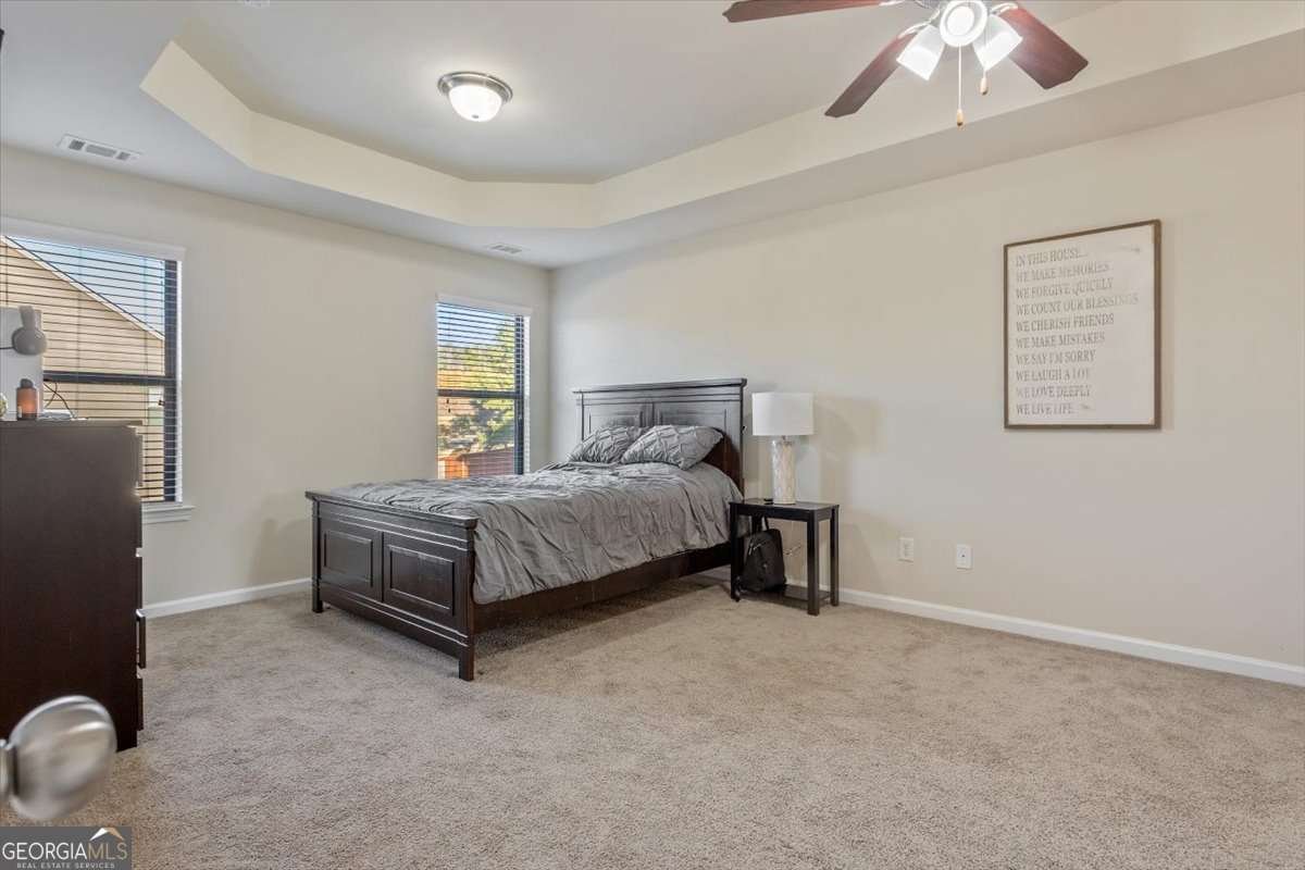 704 Flag Street Canton - Photo 29