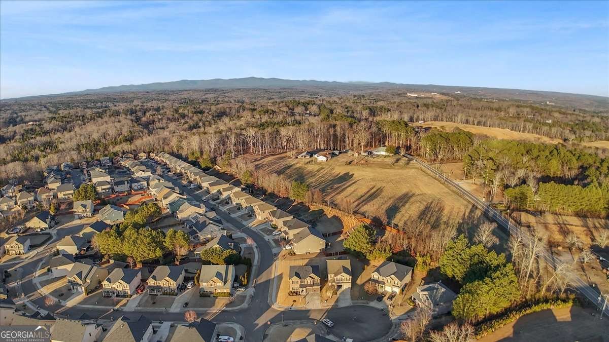 704 Flag Street Canton - Photo 47