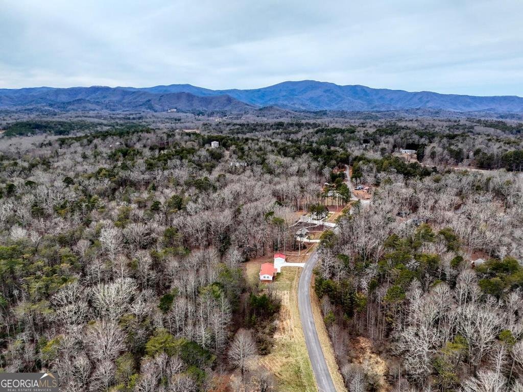 643 Number 20 Mine Road McCaysville - Photo 49