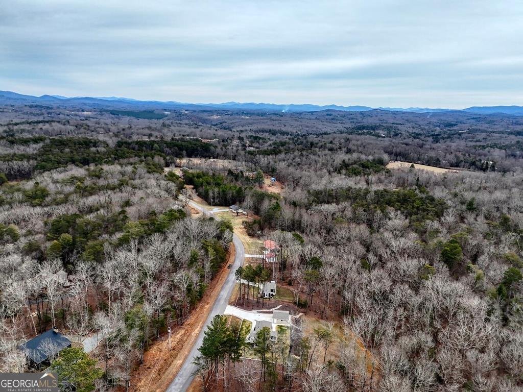 643 Number 20 Mine Road McCaysville - Photo 54