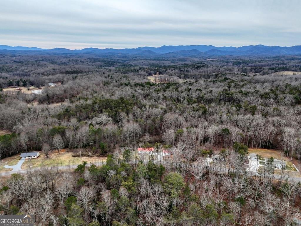 643 Number 20 Mine Road McCaysville - Photo 55