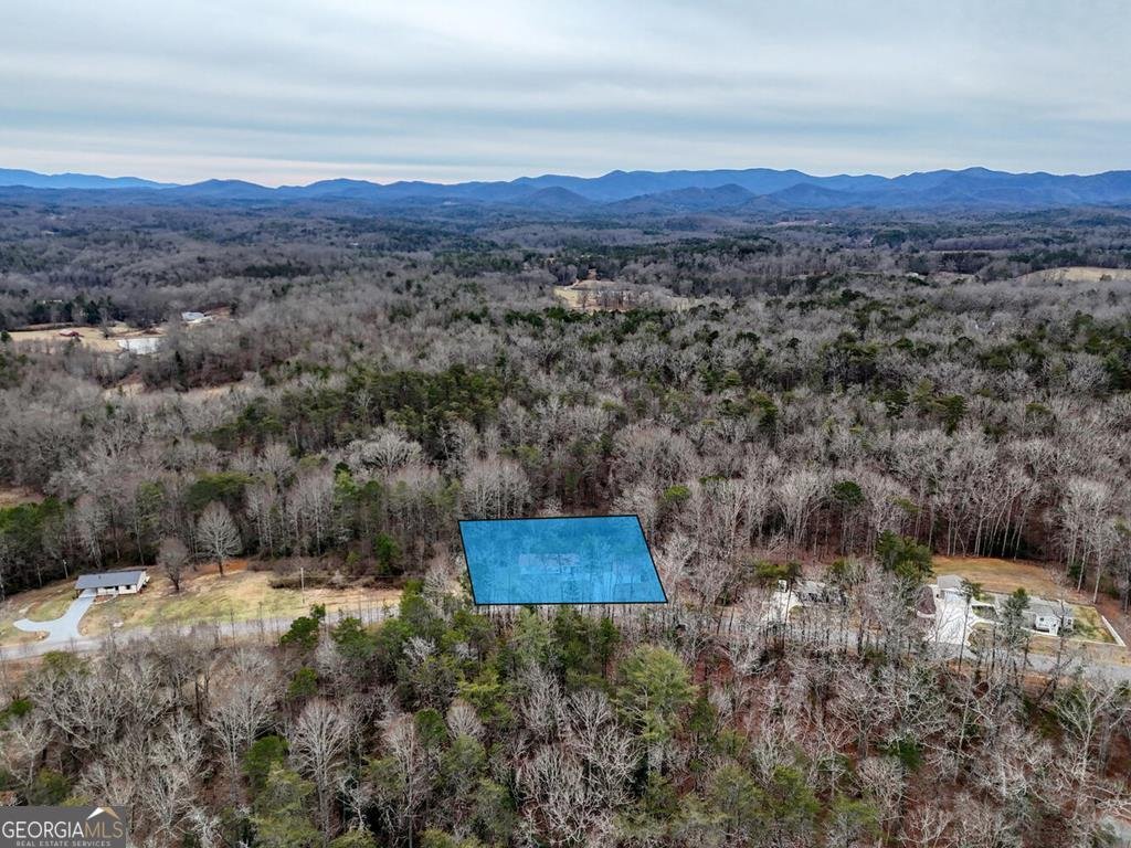 643 Number 20 Mine Road McCaysville - Photo 56