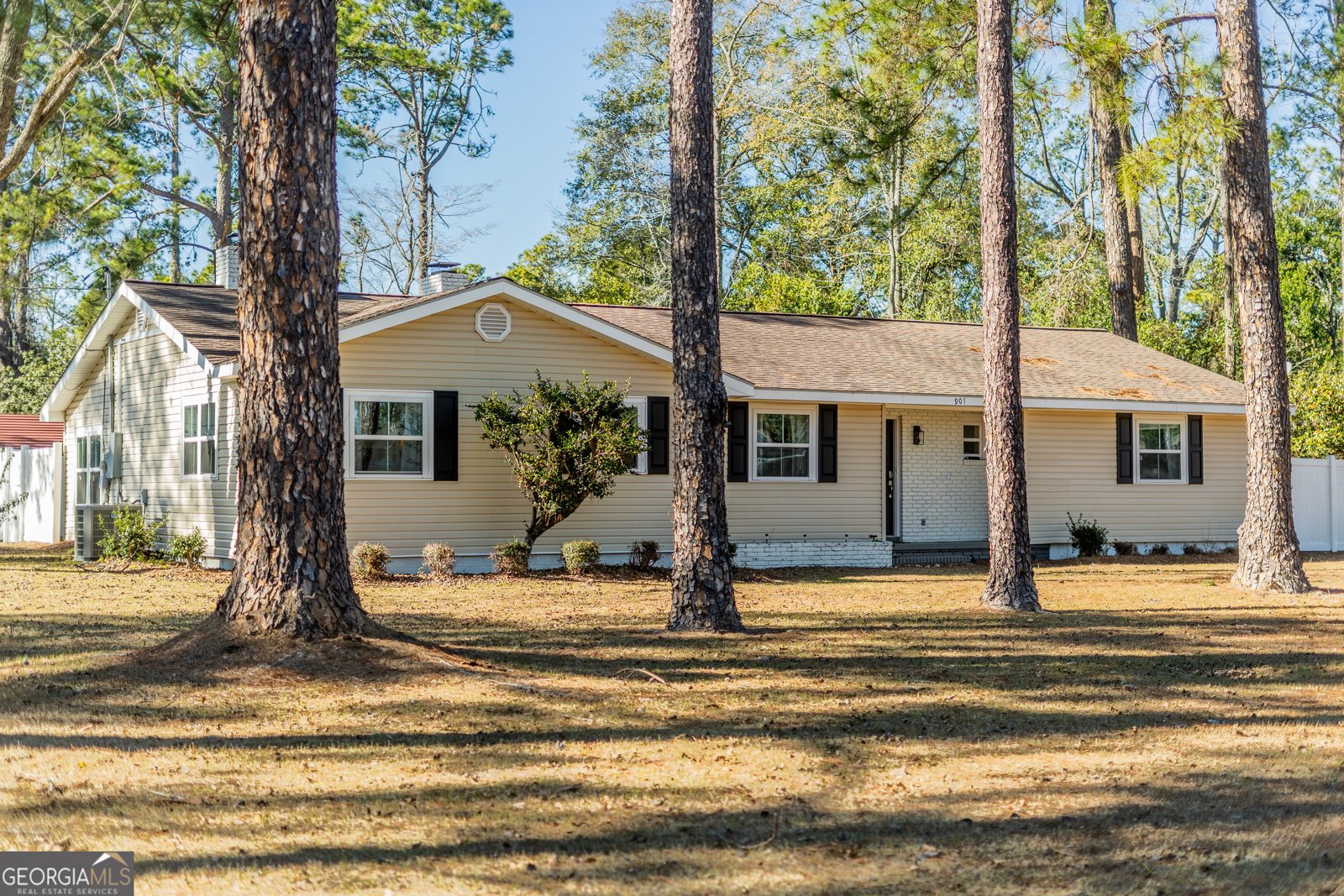 901 City Boulevard Waycross - Photo 1