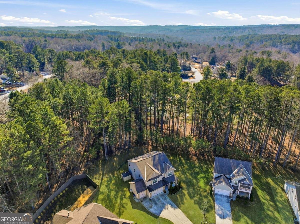 2810 Windsor Knoll Drive Dacula - Photo 48