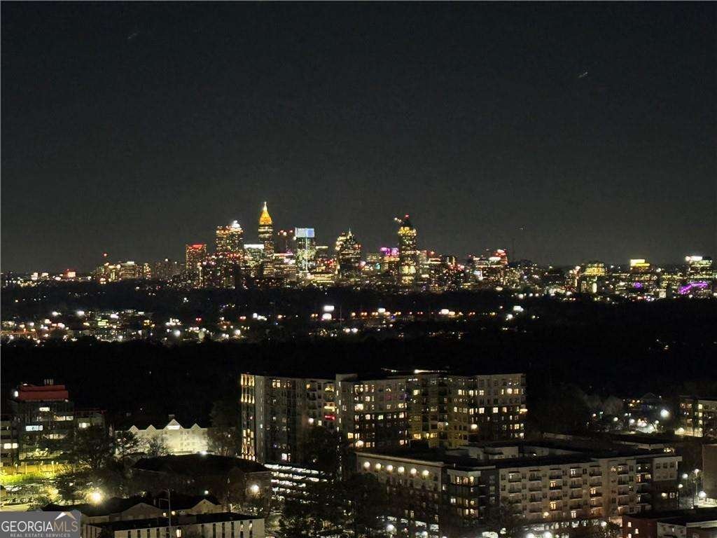 3324 Peachtree Road Atlanta - Photo 16