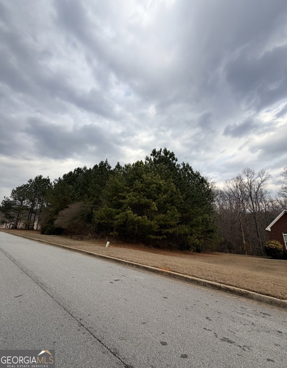 194 Johns Creek Lane Stockbridge - Photo 17