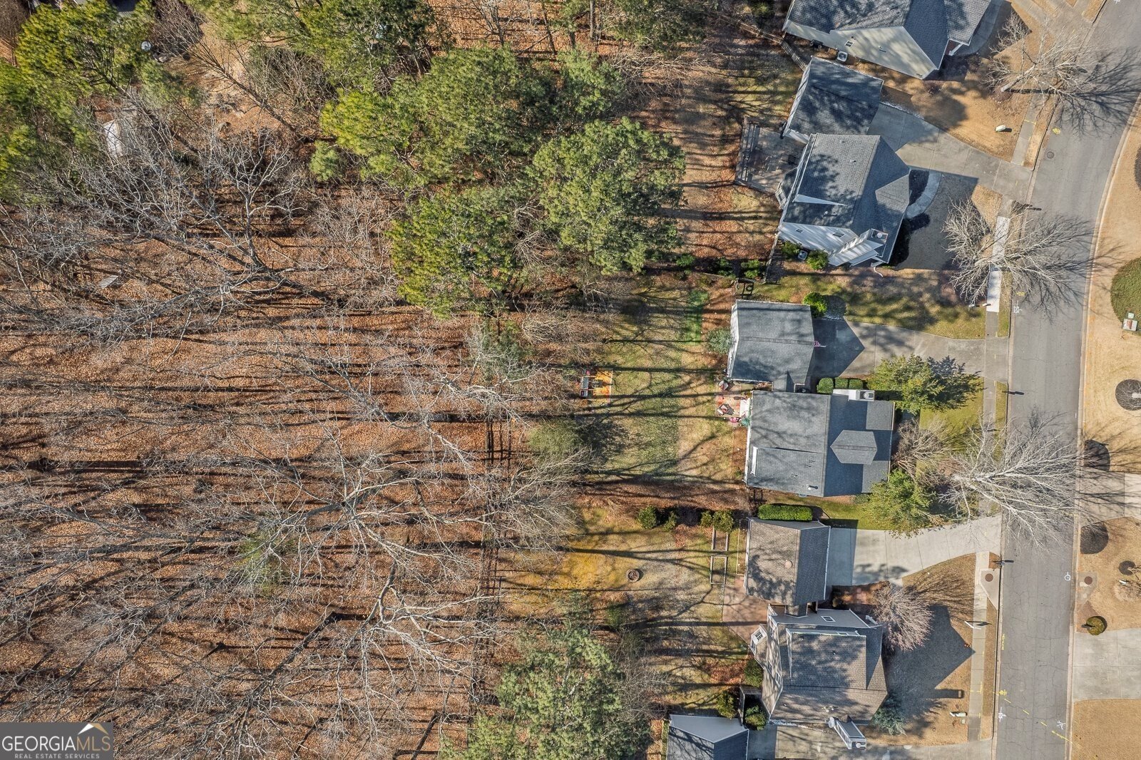 153 Birchwood Pass Canton - Photo 41