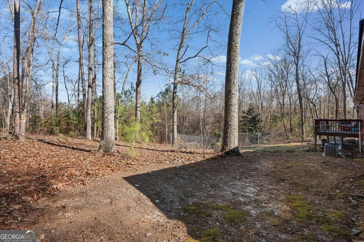 146 East Side Drive Tallapoosa - Photo 35