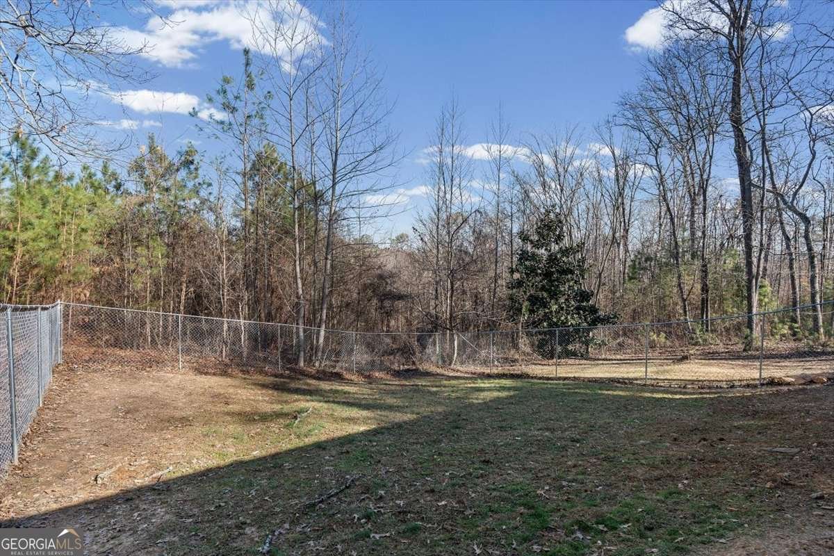 146 East Side Drive Tallapoosa - Photo 36