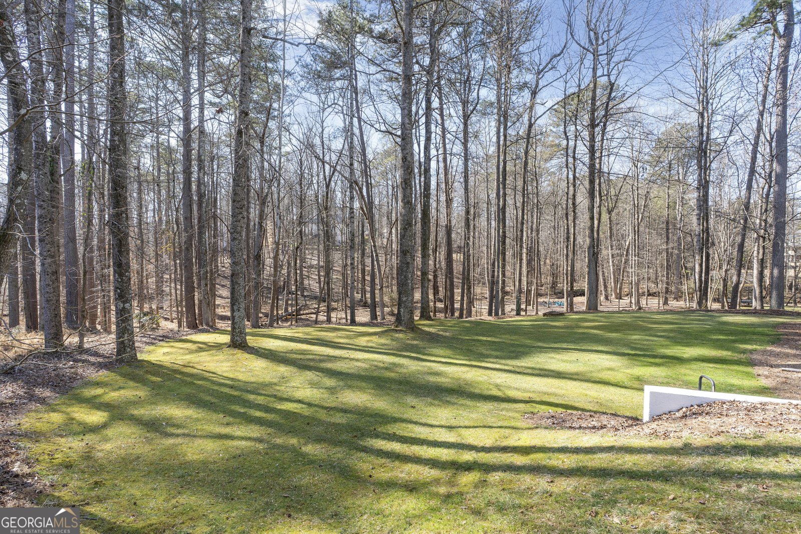 15370 Treyburn Manor View Alpharetta - Photo 47