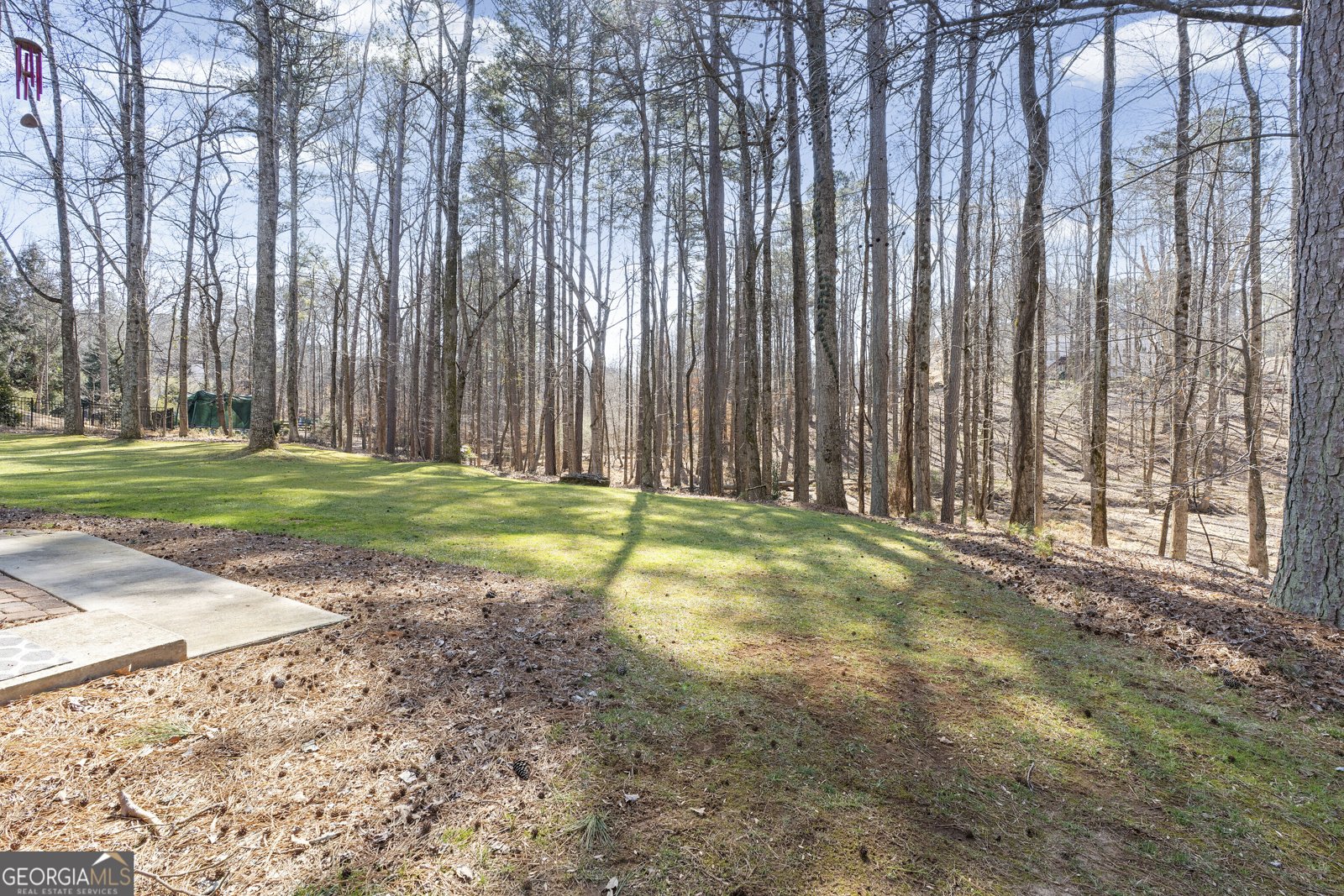 15370 Treyburn Manor View Alpharetta - Photo 48