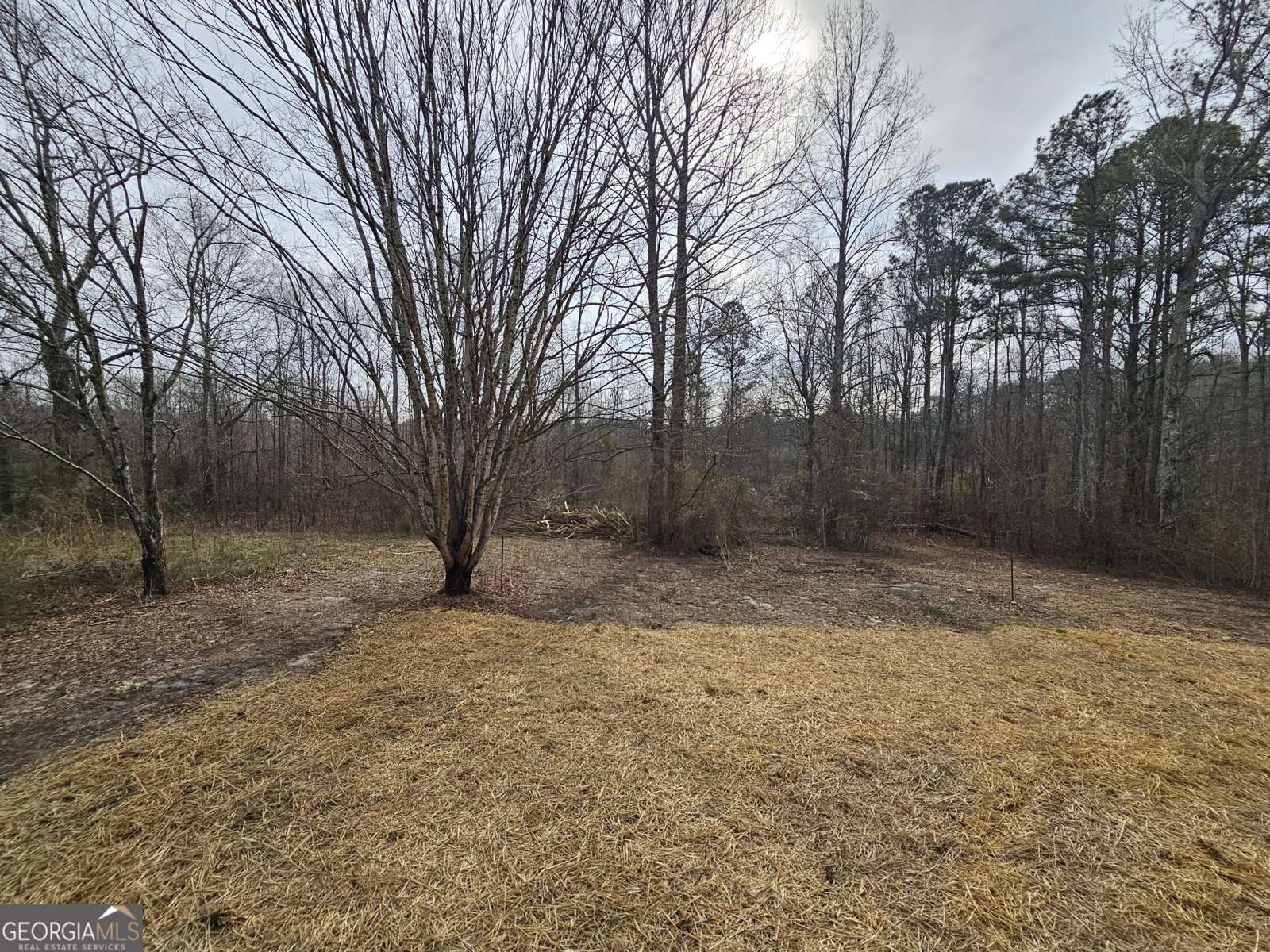 298 Katie Lane Carrollton - Photo 35