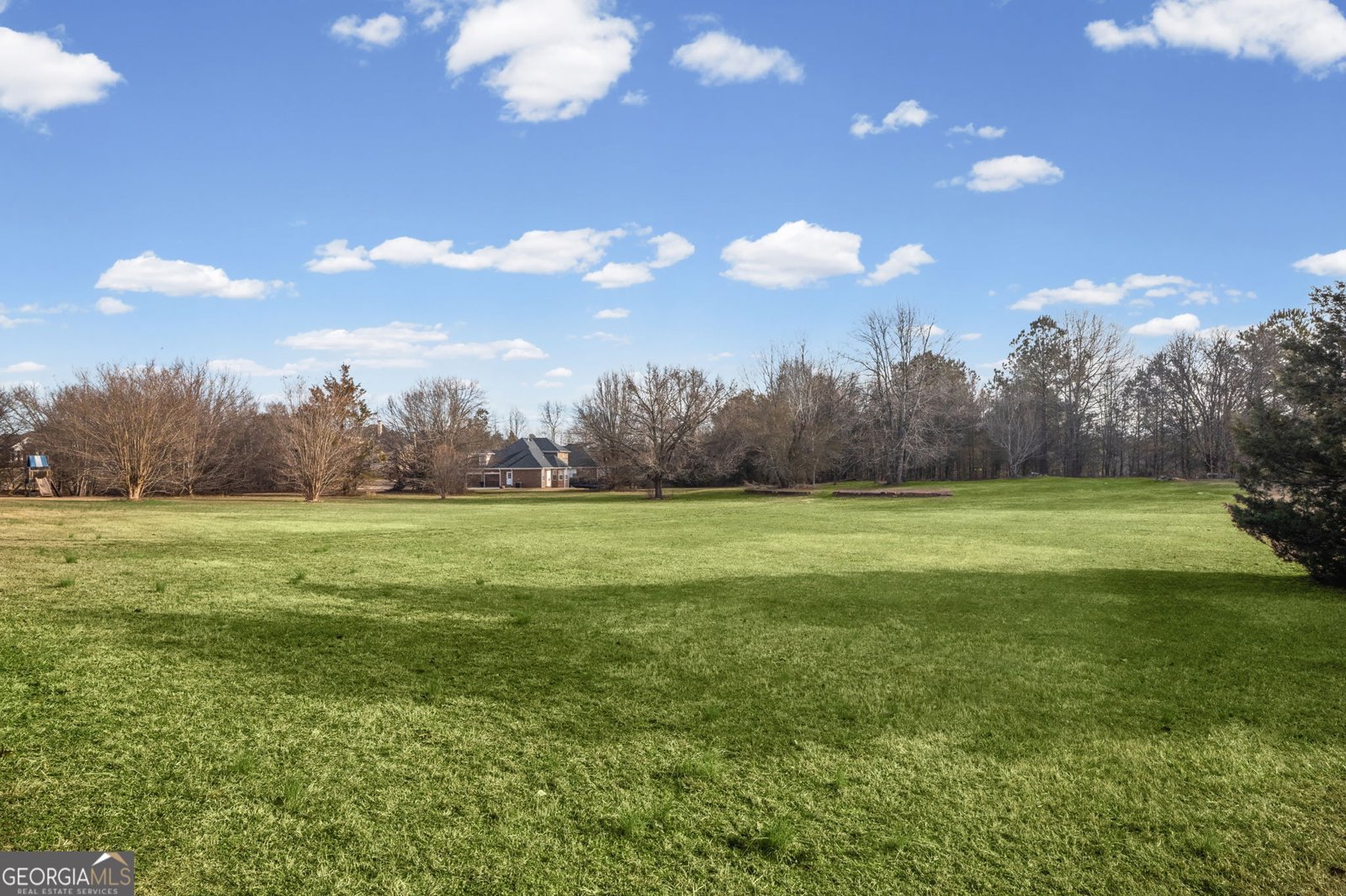 165 White Tail Court Fayetteville - Photo 51