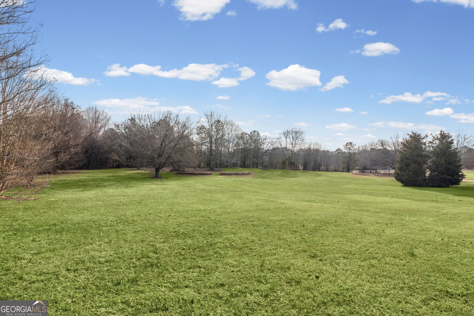 165 White Tail Court Fayetteville - Photo 52