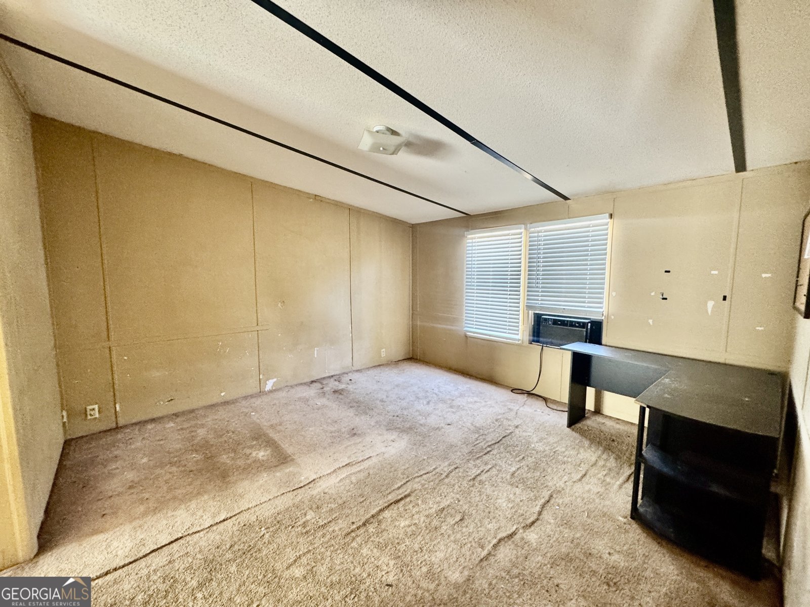 2211 New Cut Road Byromville - Photo 13