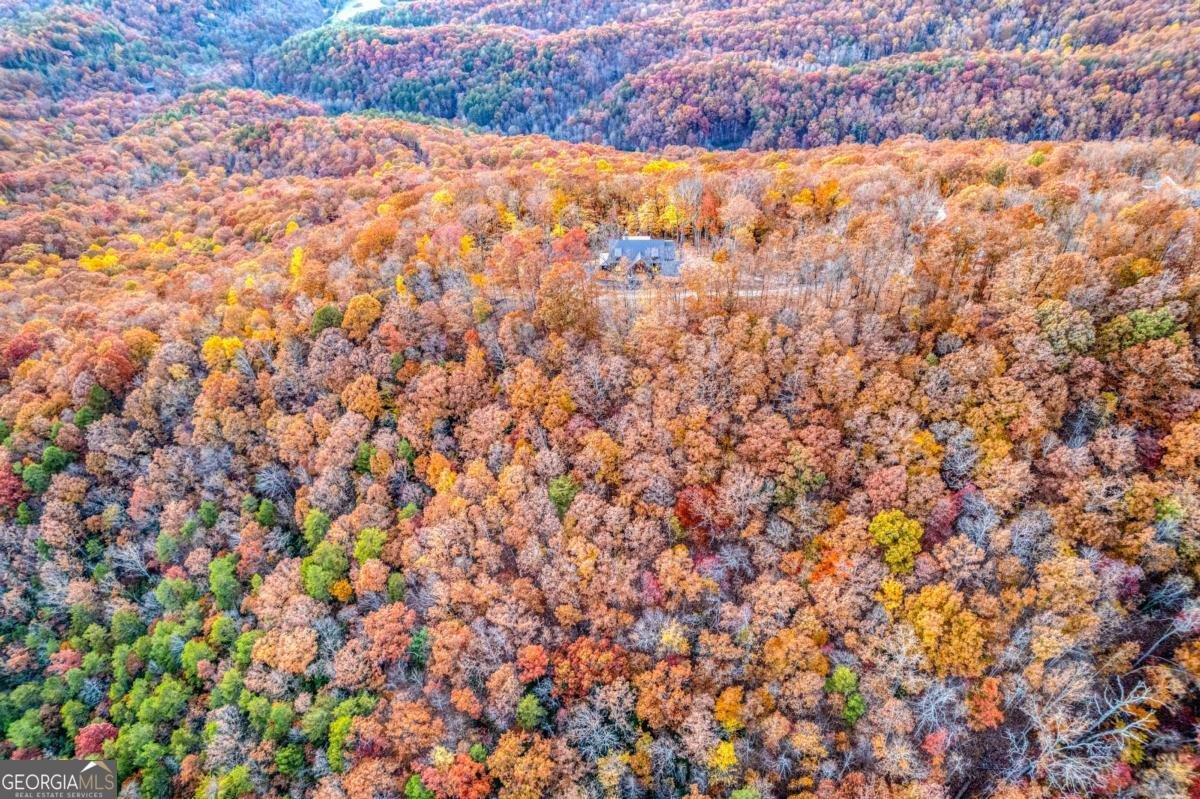 18 Wawayanda Drive Mineral Bluff - Photo 32