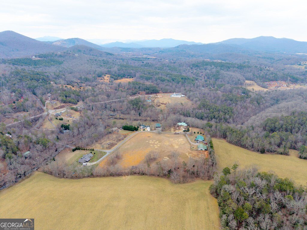 2636 Misty Creek Lane Young Harris - Photo 42