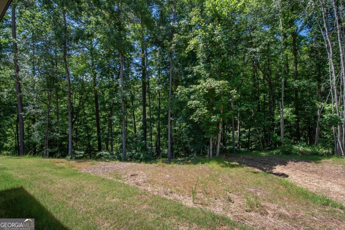 5 Firefly Run Lagrange - Photo 50