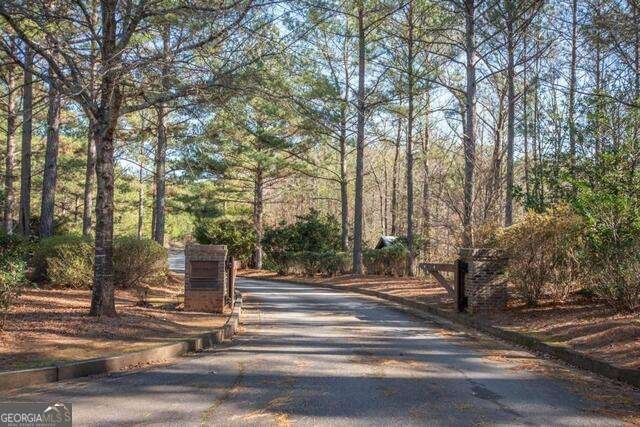 5 Firefly Run Lagrange - Photo 72