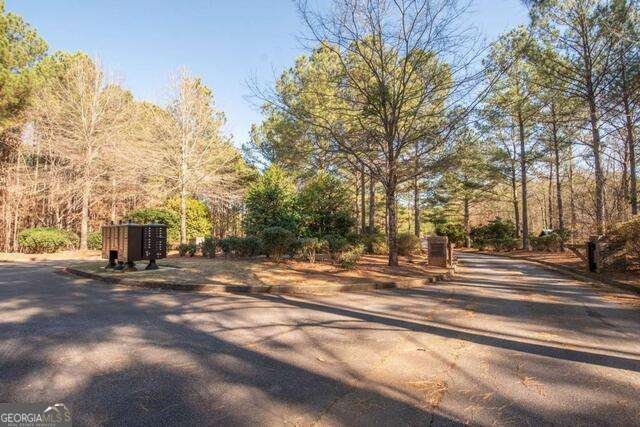 5 Firefly Run Lagrange - Photo 73