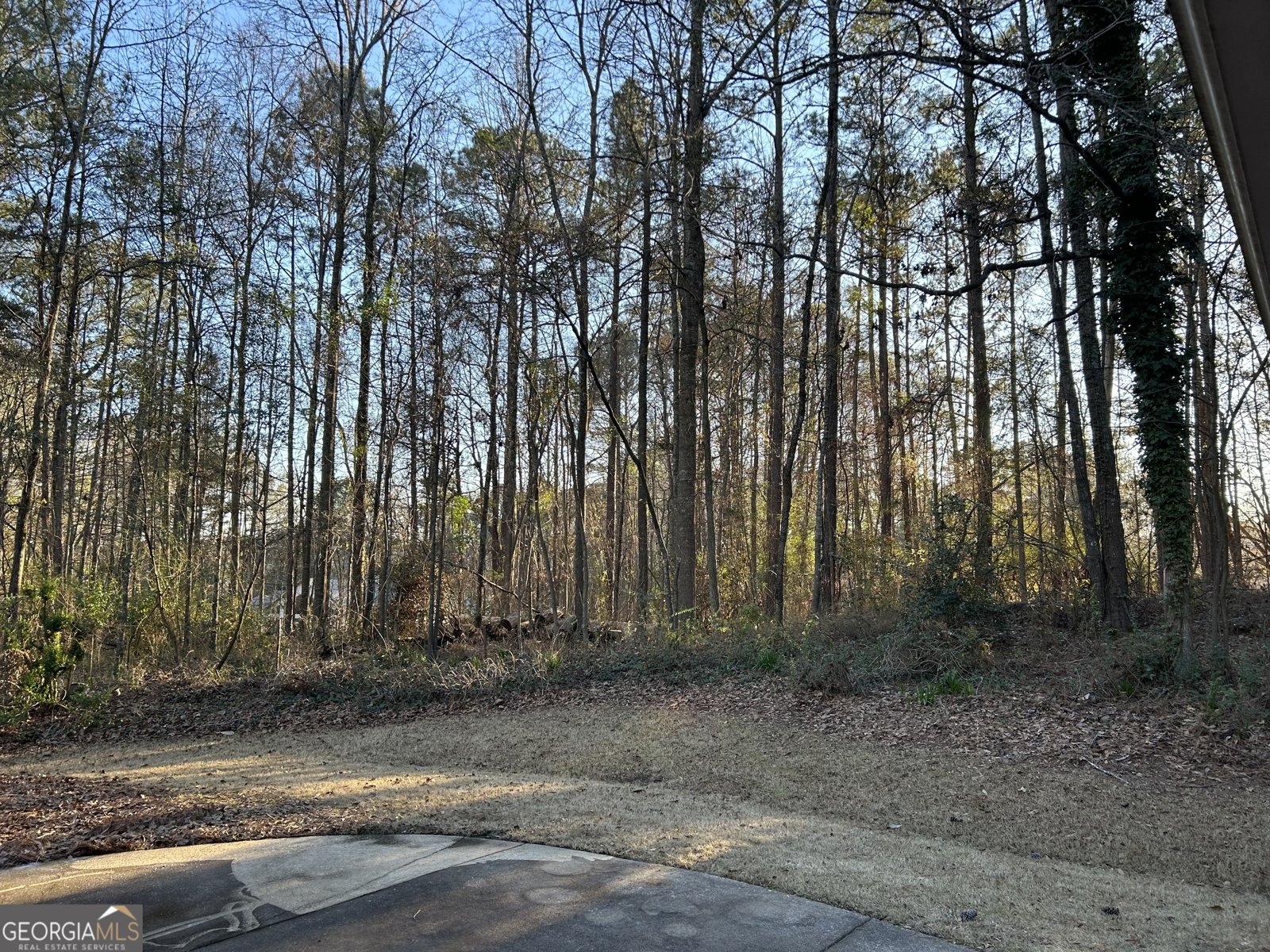 58 Sweetwater Drive Cataula - Photo 25