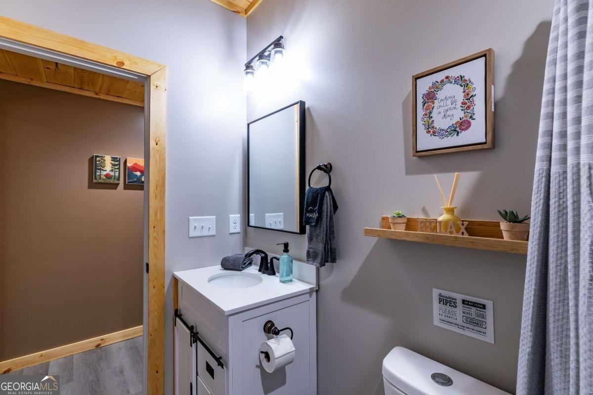 43 Madonna Court Ellijay - Photo 23