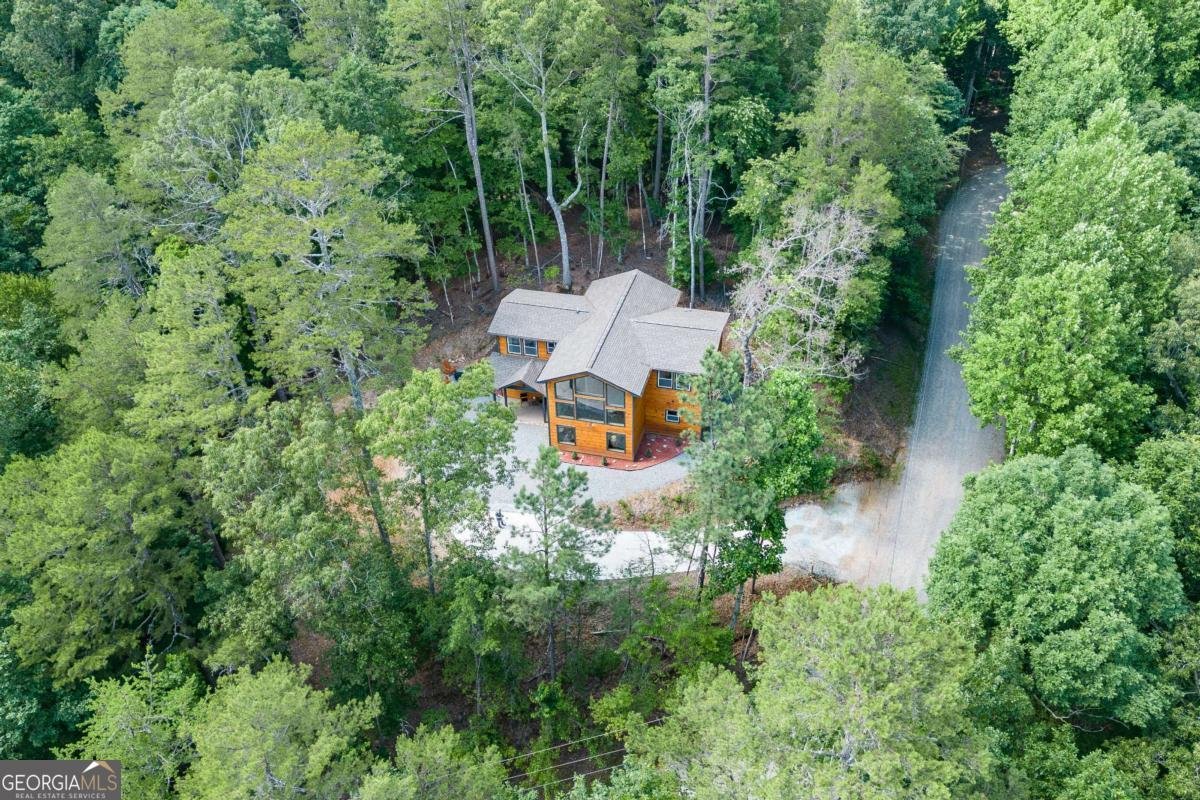 43 Madonna Court Ellijay - Photo 58