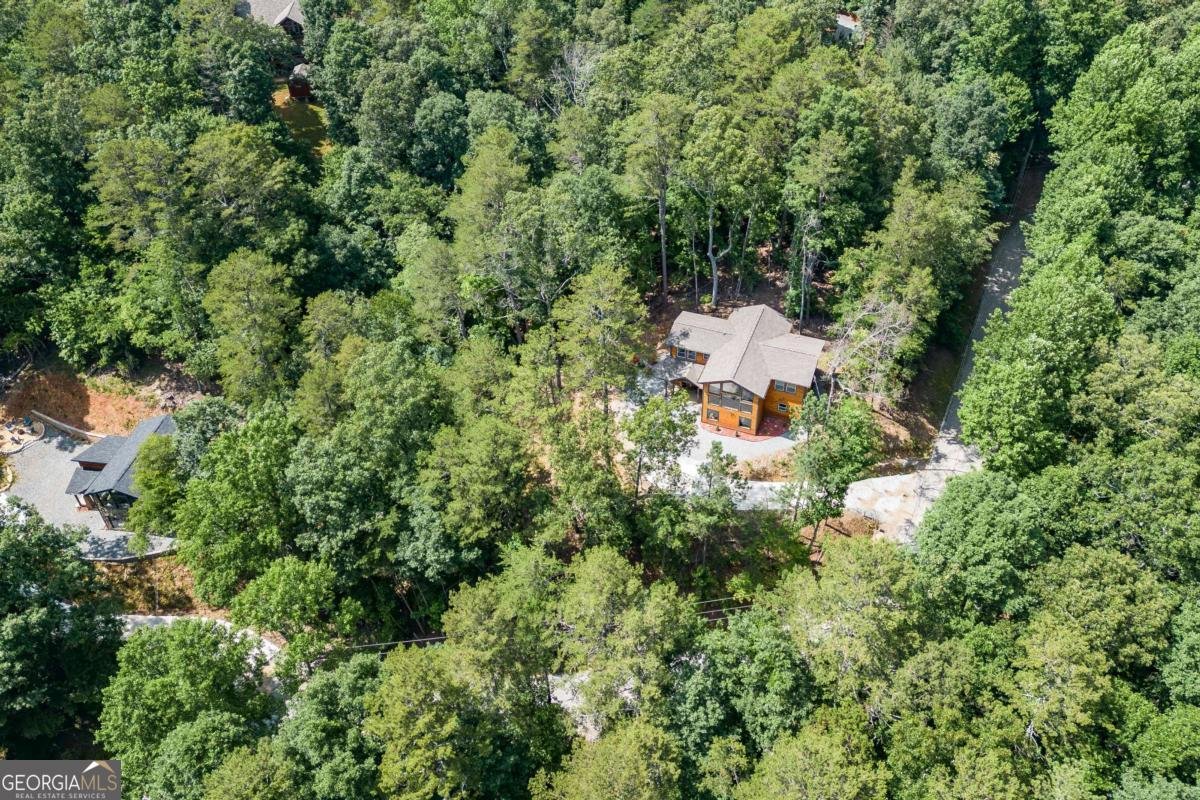 43 Madonna Court Ellijay - Photo 59