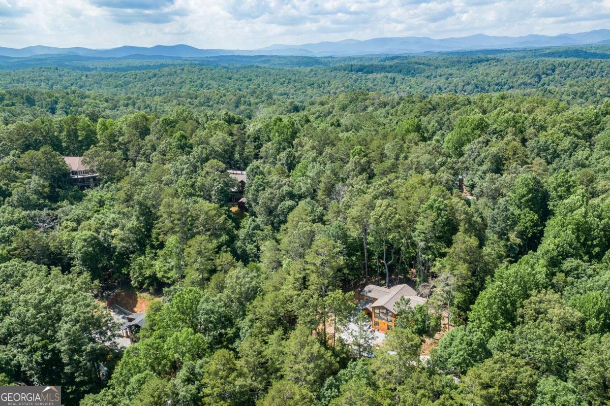 43 Madonna Court Ellijay - Photo 60