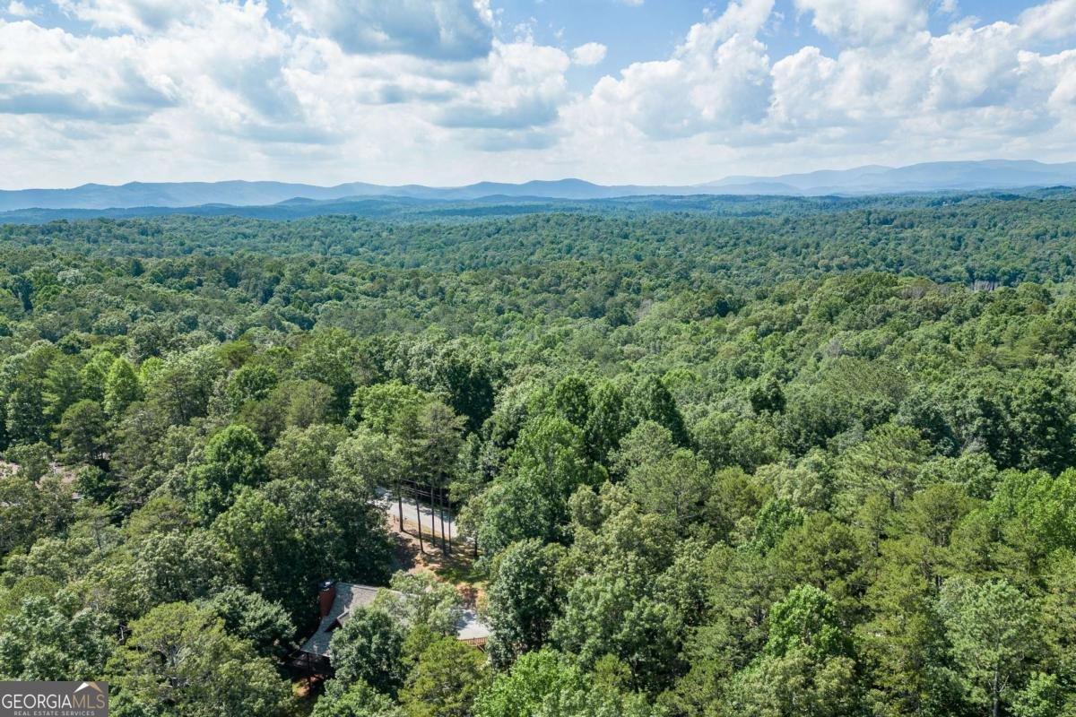 43 Madonna Court Ellijay - Photo 63