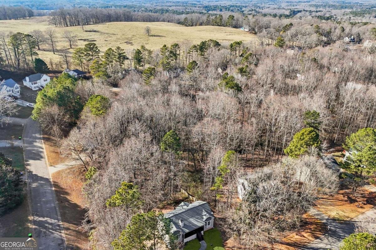 202 Lost Lake Way Villa Rica - Photo 37