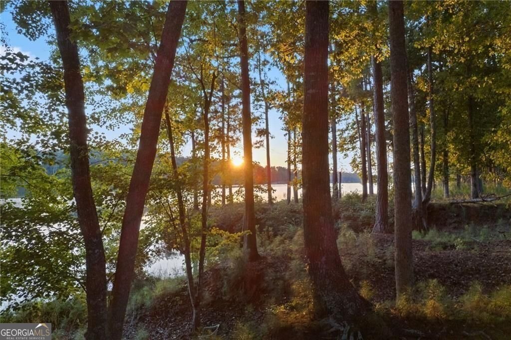 109 Peninsula Drive Peachtree City - Photo 68