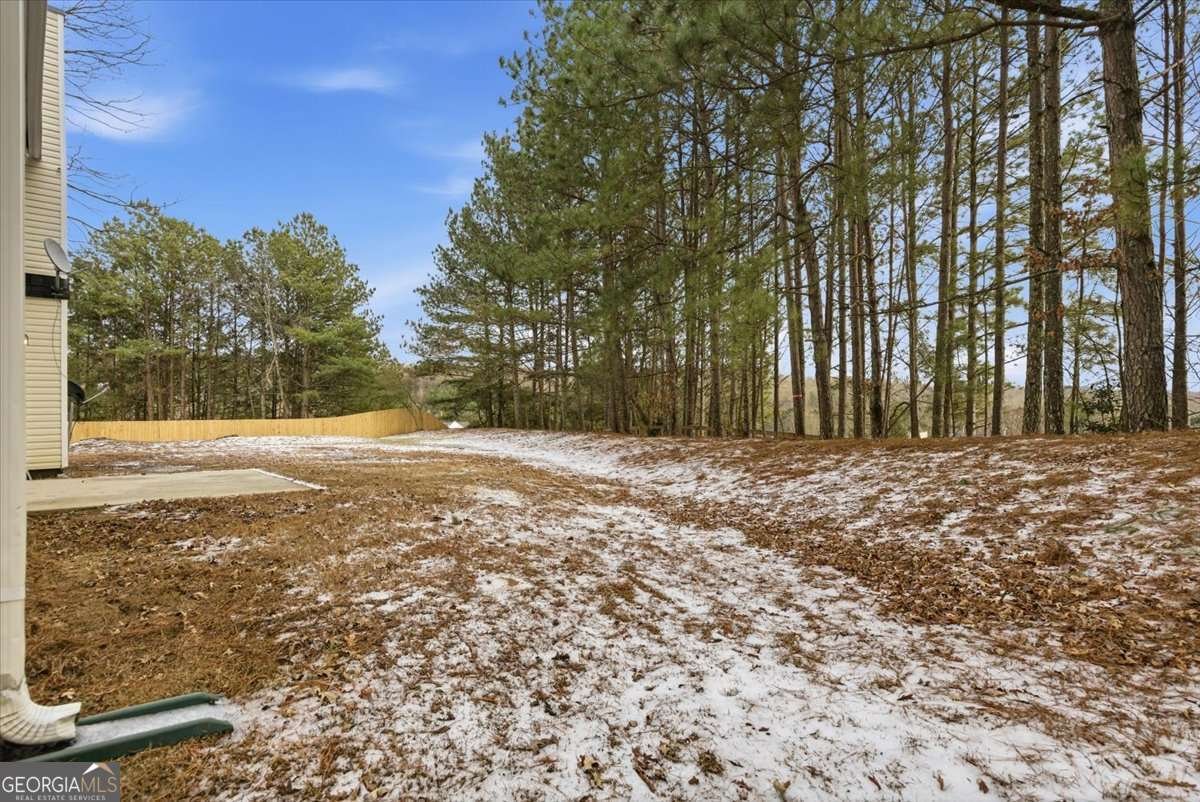 1905 Barnett West Court Buford - Photo 66