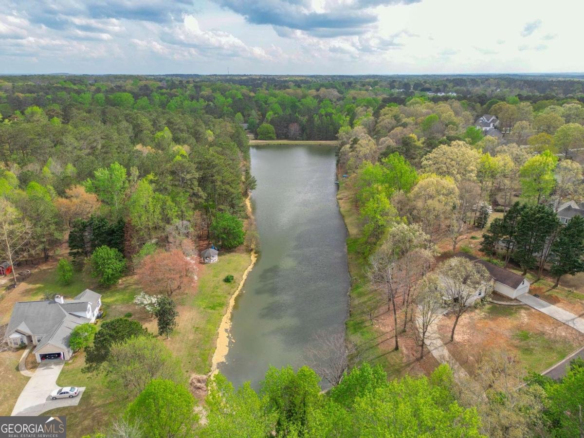 2340 Emerald Drive Loganville - Photo 47