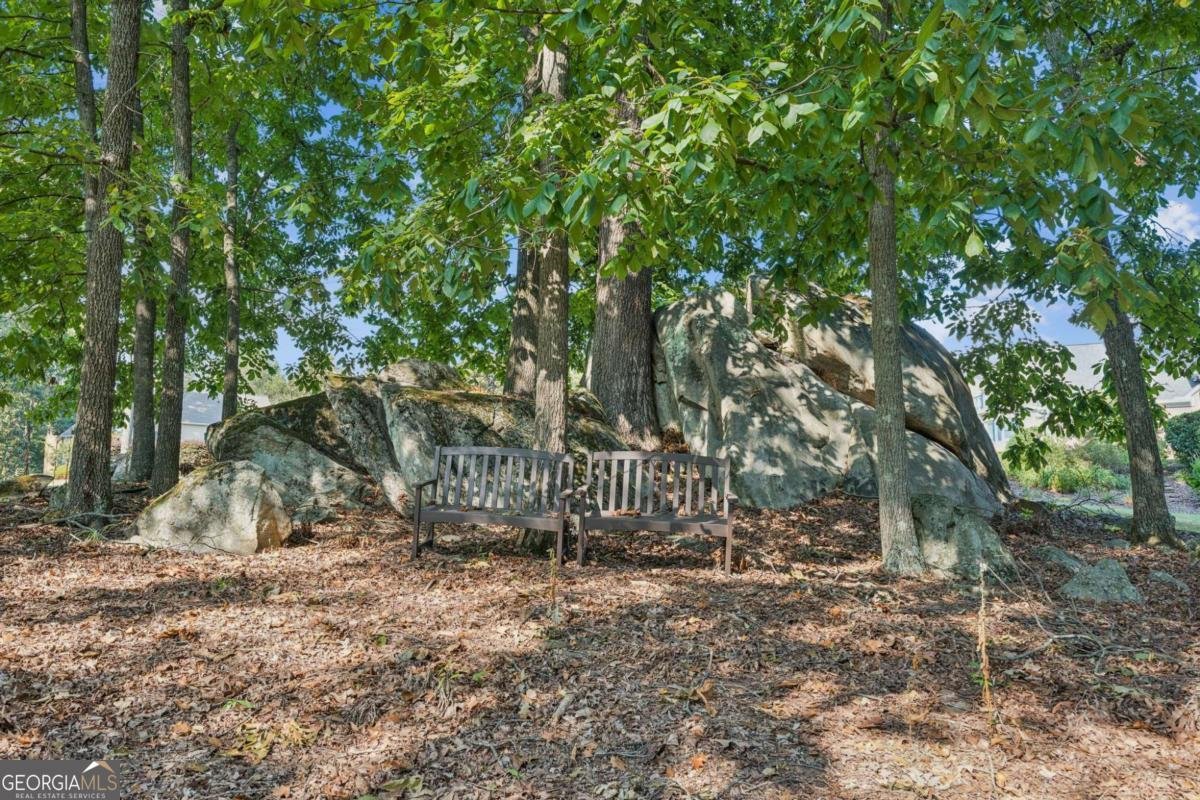 254 Lingefelt Lane Canton - Photo 41