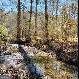 3177 Rodgers Creek Road Ellijay - Photo 34