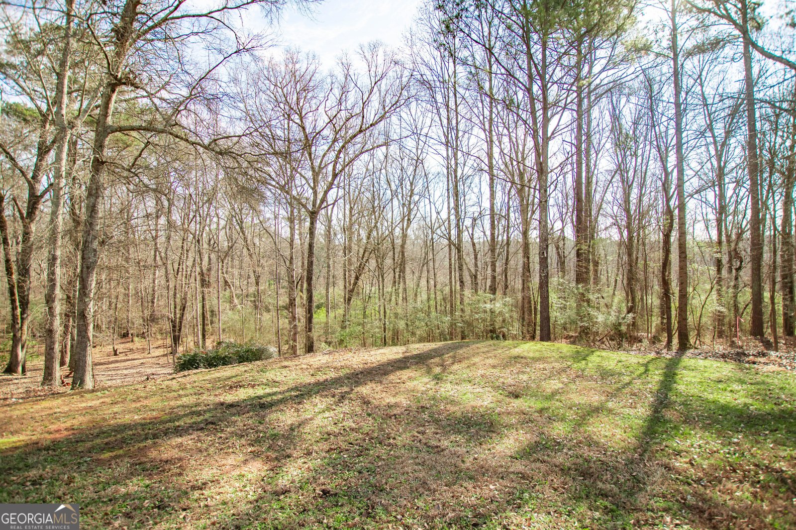 1426 Brighton Place Loganville - Photo 52