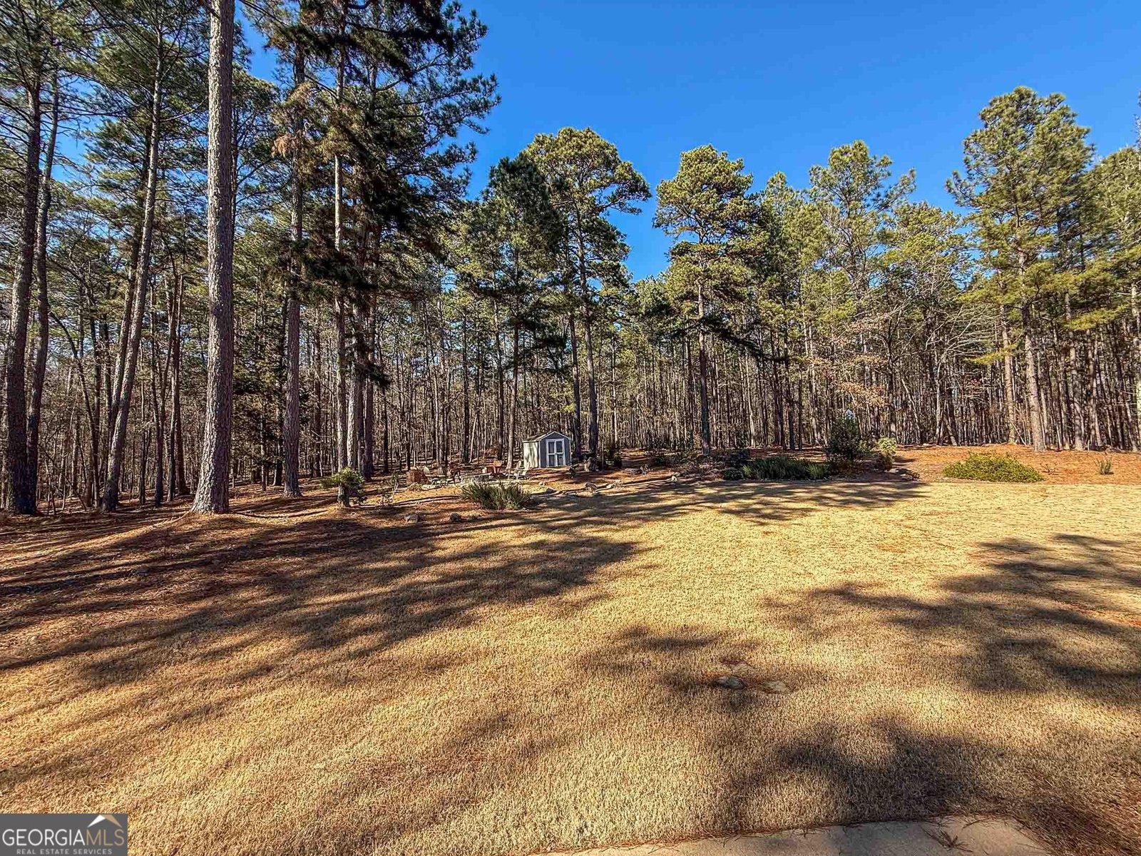 155 Waters Edge Drive Eatonton - Photo 67