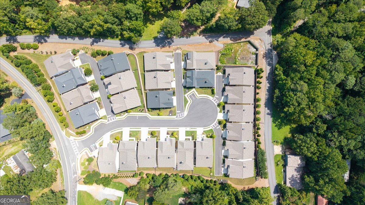 123 Ivey Way Woodstock - Photo 46