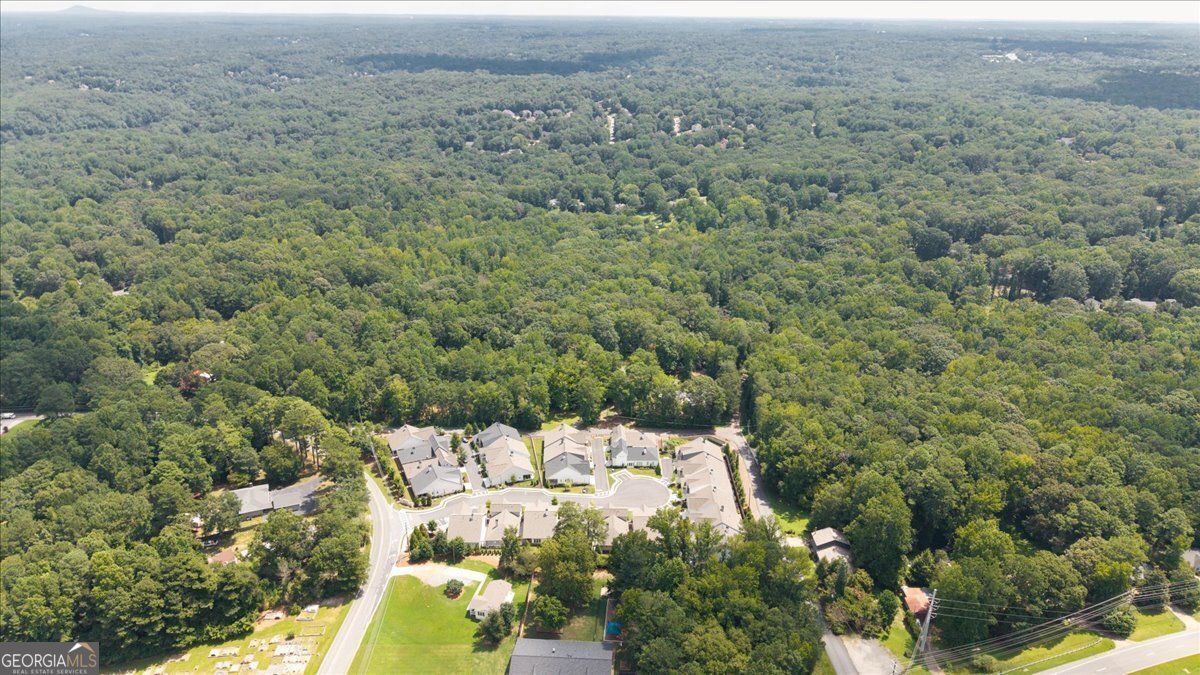 123 Ivey Way Woodstock - Photo 47