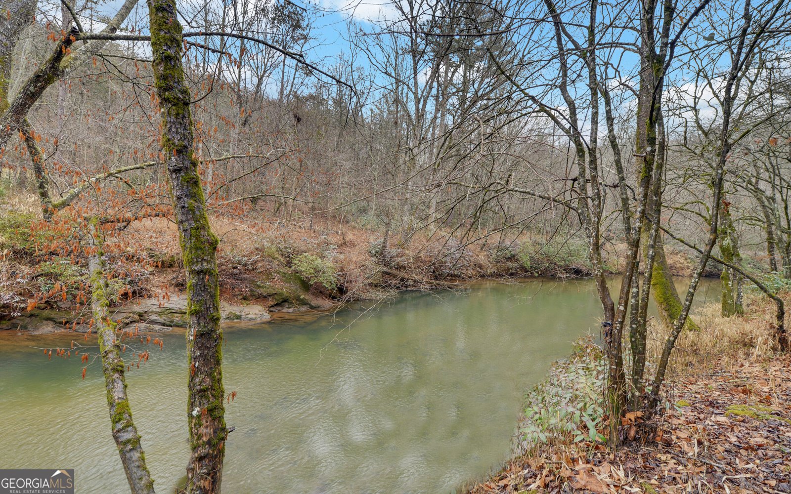 133 Elkmont Drive Dahlonega - Photo 44