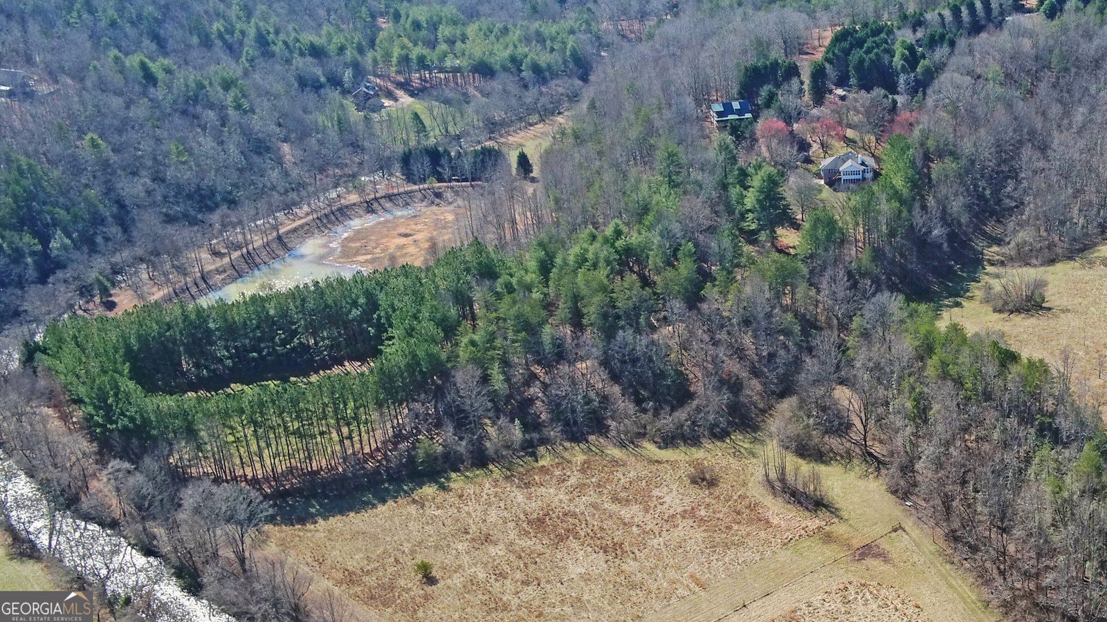 133 Elkmont Drive Dahlonega - Photo 54