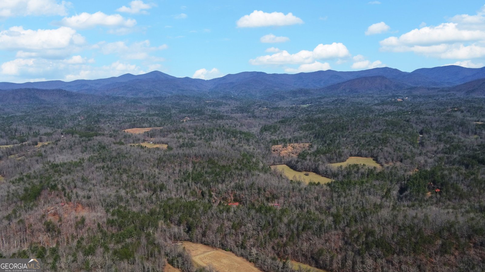 133 Elkmont Drive Dahlonega - Photo 59