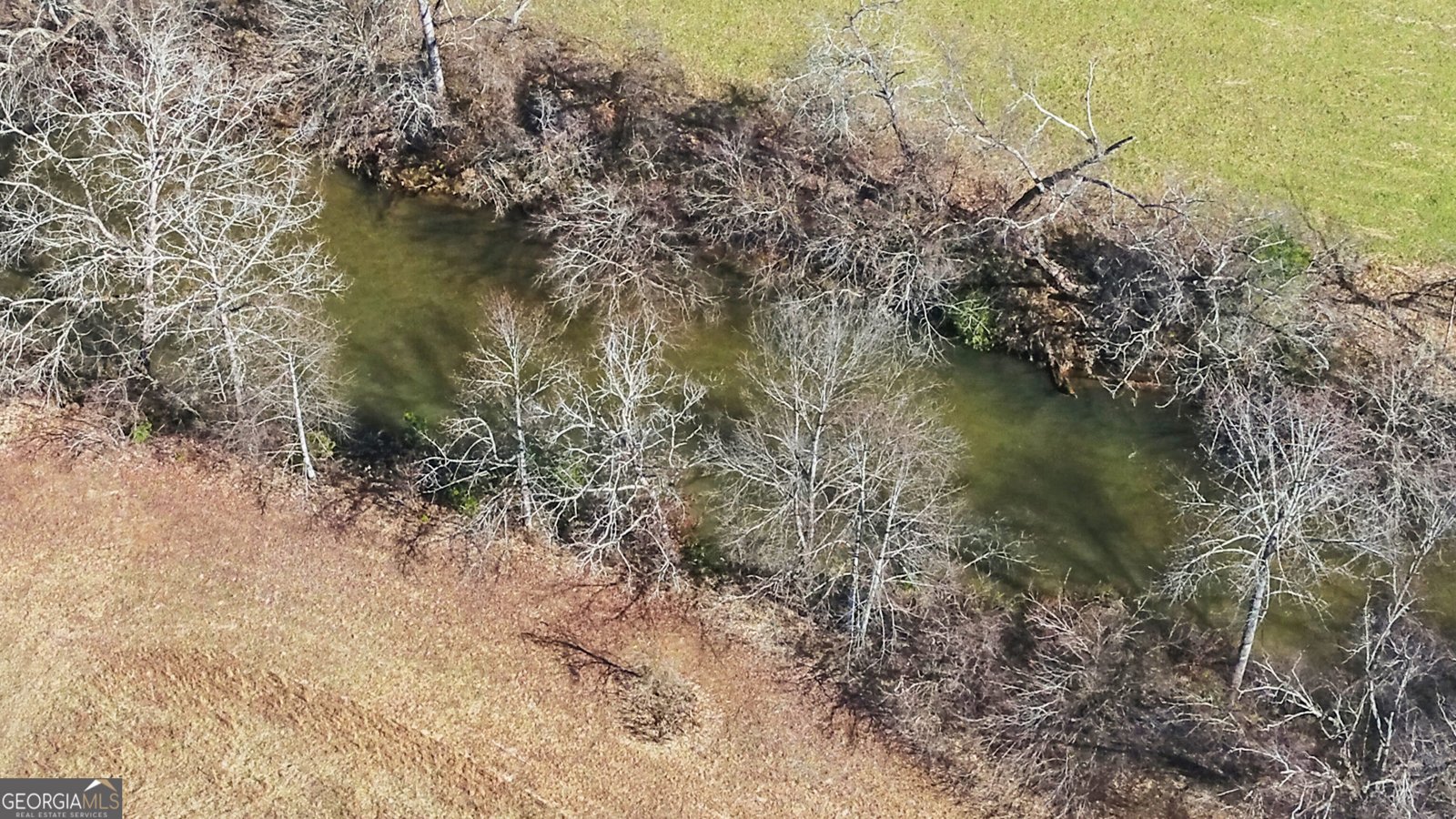 133 Elkmont Drive Dahlonega - Photo 62