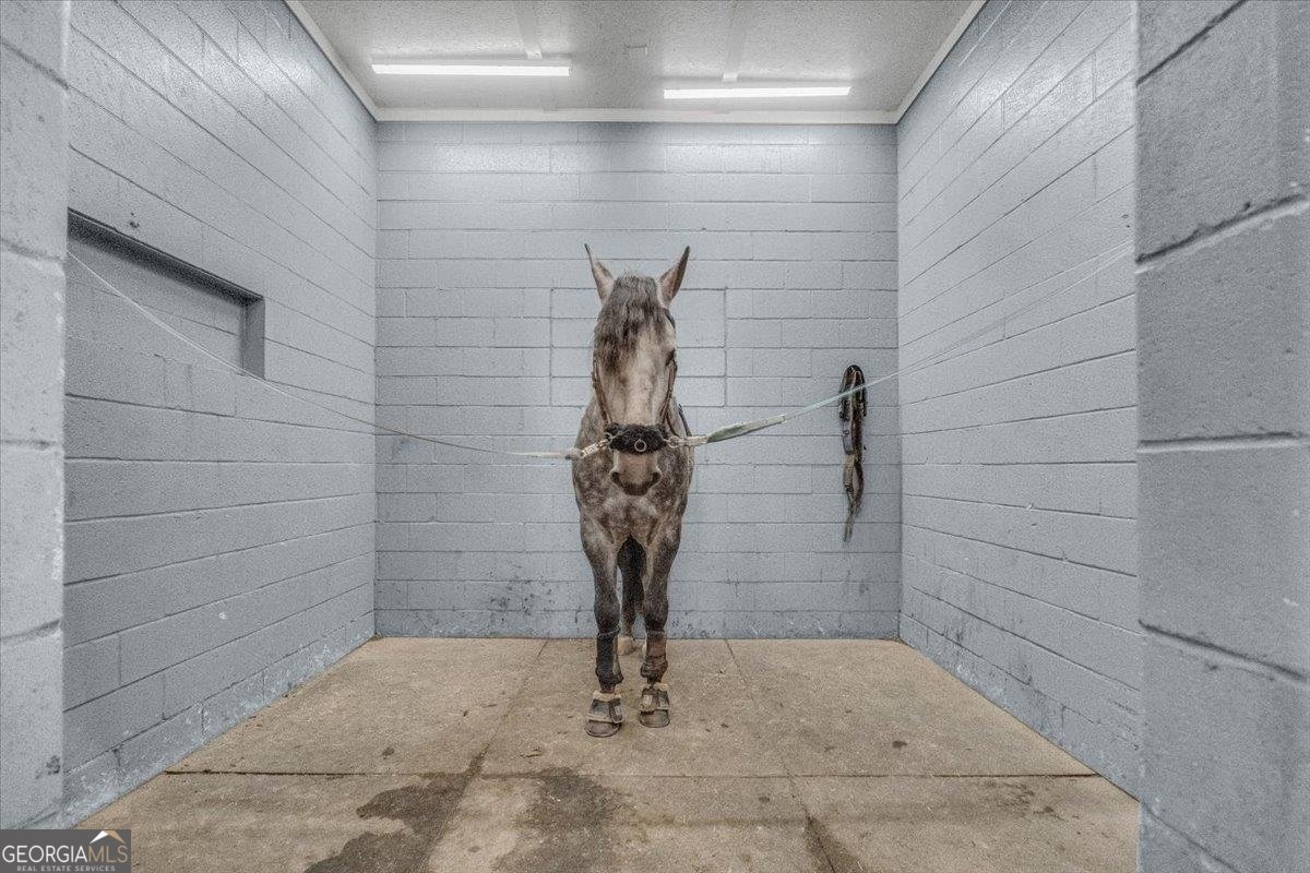 1371 Plantation Road Madison - Photo 21