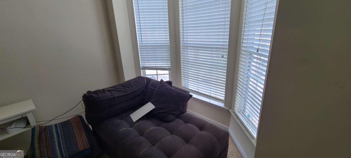 3263 Mill Springs Circle Northeast Circle Buford - Photo 12